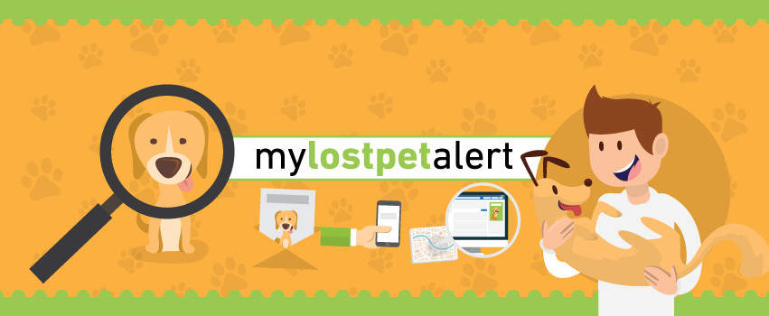 Petsmart Locator Never Be Lost Again - 6q8z2tr