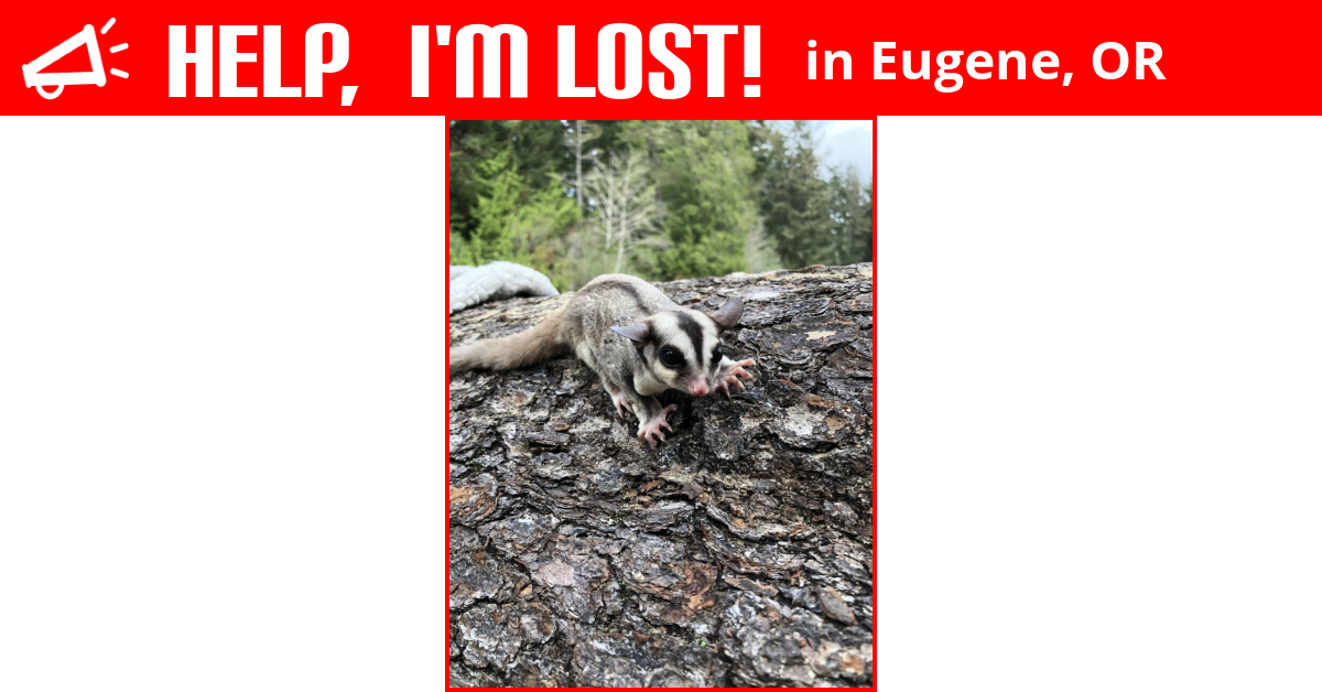 Lost Other Eugene Oregon Naomi 