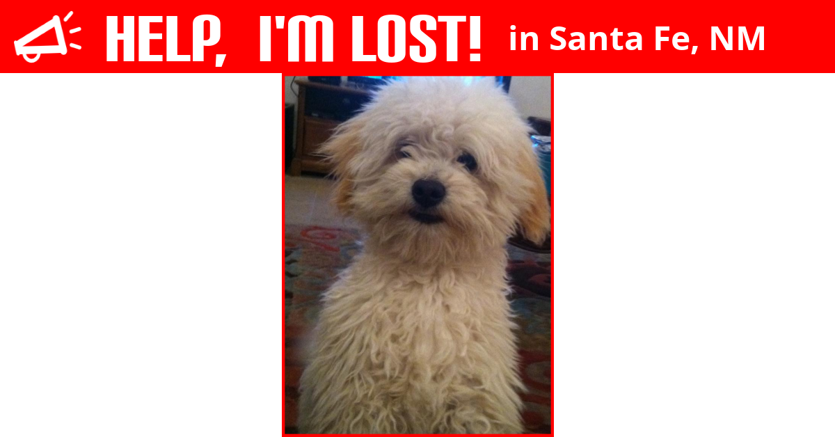 Get Craigslist Sf Nm Pets Pics