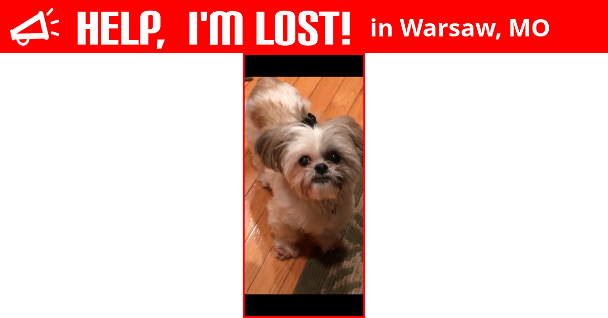 Lost Dog (Warsaw, Missouri) Bella