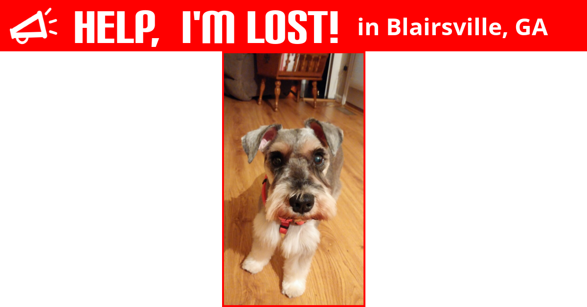 Lost Dog (Blairsville, Radar