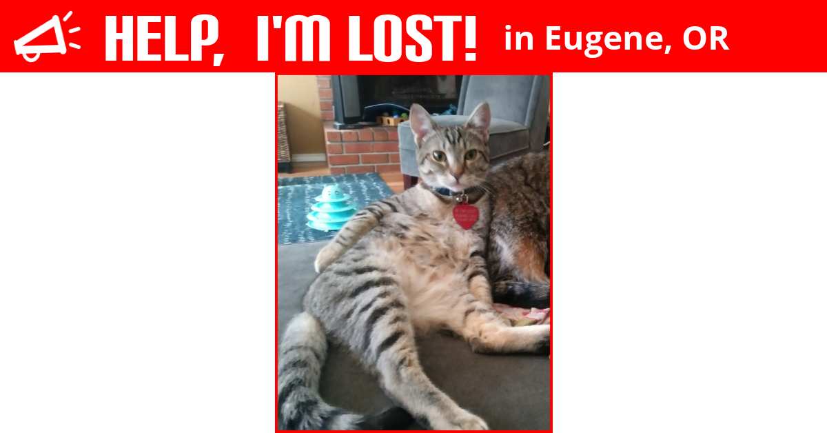 Lost Cat (Eugene, Oregon) Miles