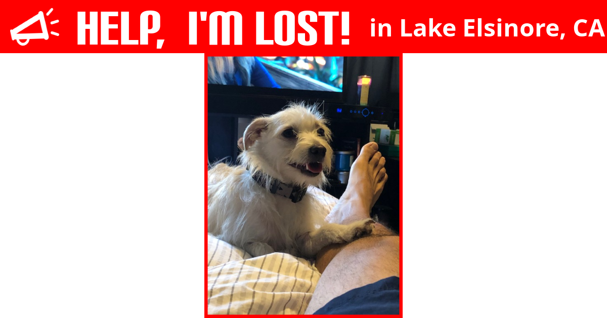 Lost Dog (Lake Elsinore, California)
