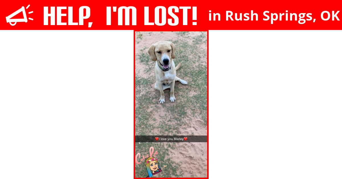 Lost Dog (Rush Springs, Oklahoma) Marley Max