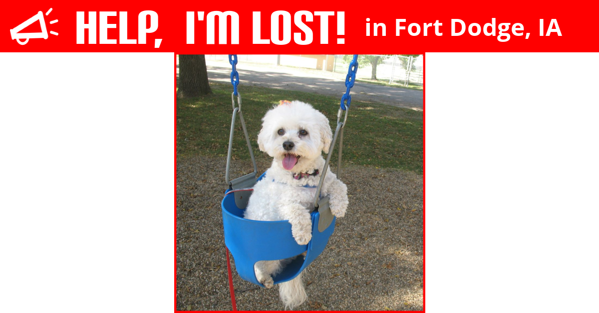 Lost Dog (Fort Dodge, Iowa) Sunny