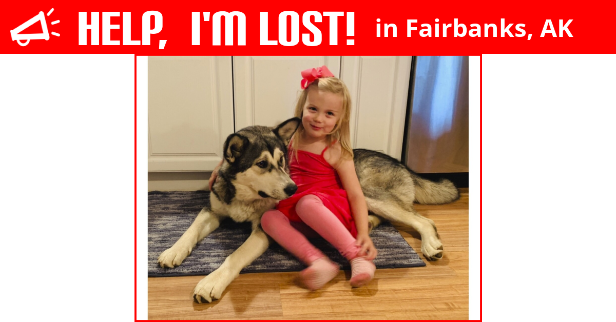 Lost Dog (Fairbanks, Alaska) Aliy