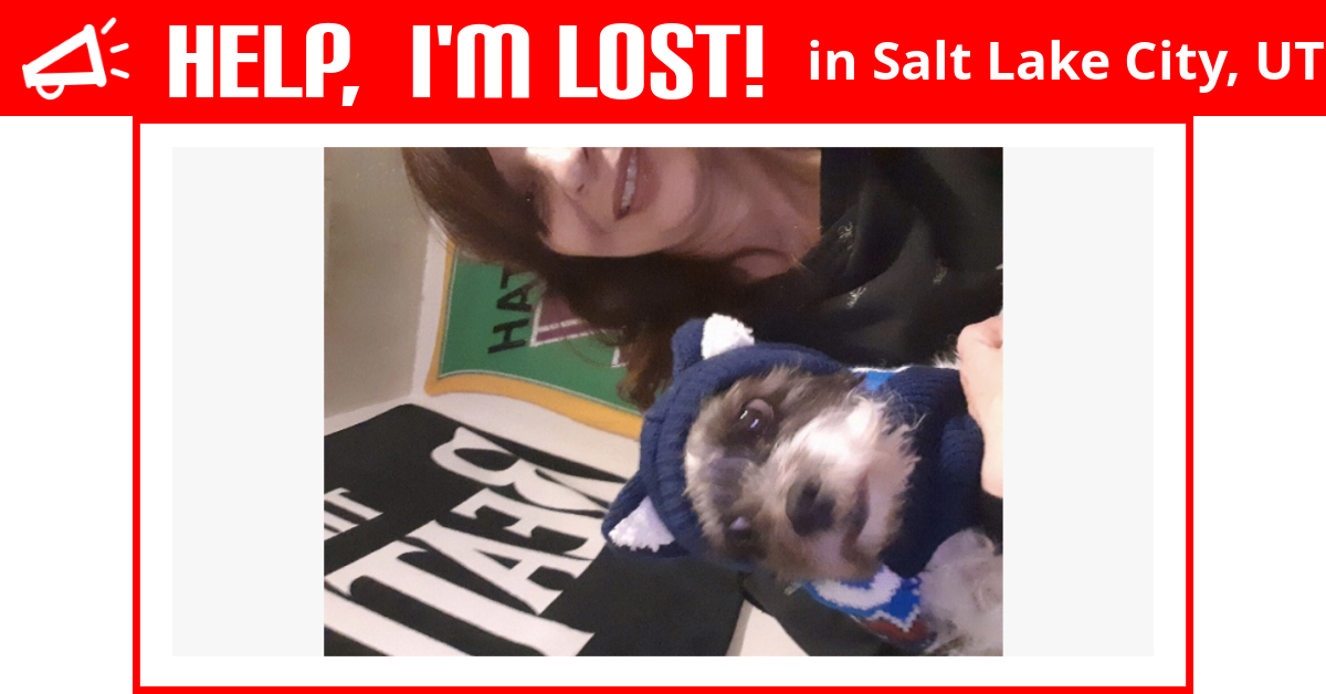 Lost Dog (Salt Lake City, Utah) Cocoa