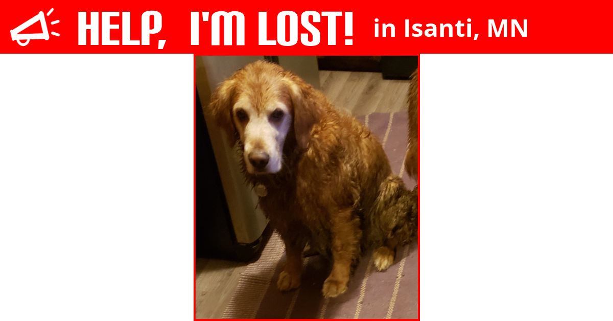 Lost Dog (Isanti, Minnesota) Dekx