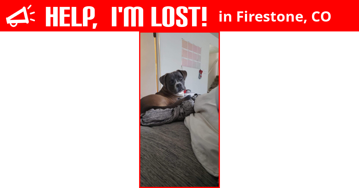 Lost Dog (Firestone, Colorado) Dozer