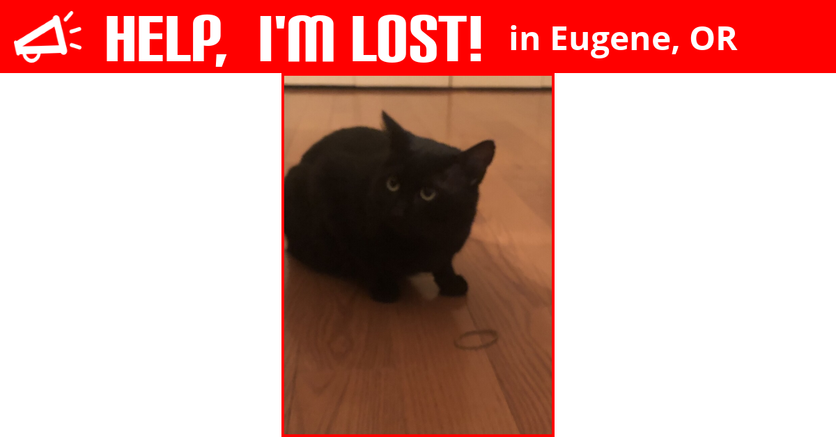 Lost Cat (Eugene, Oregon) Royal