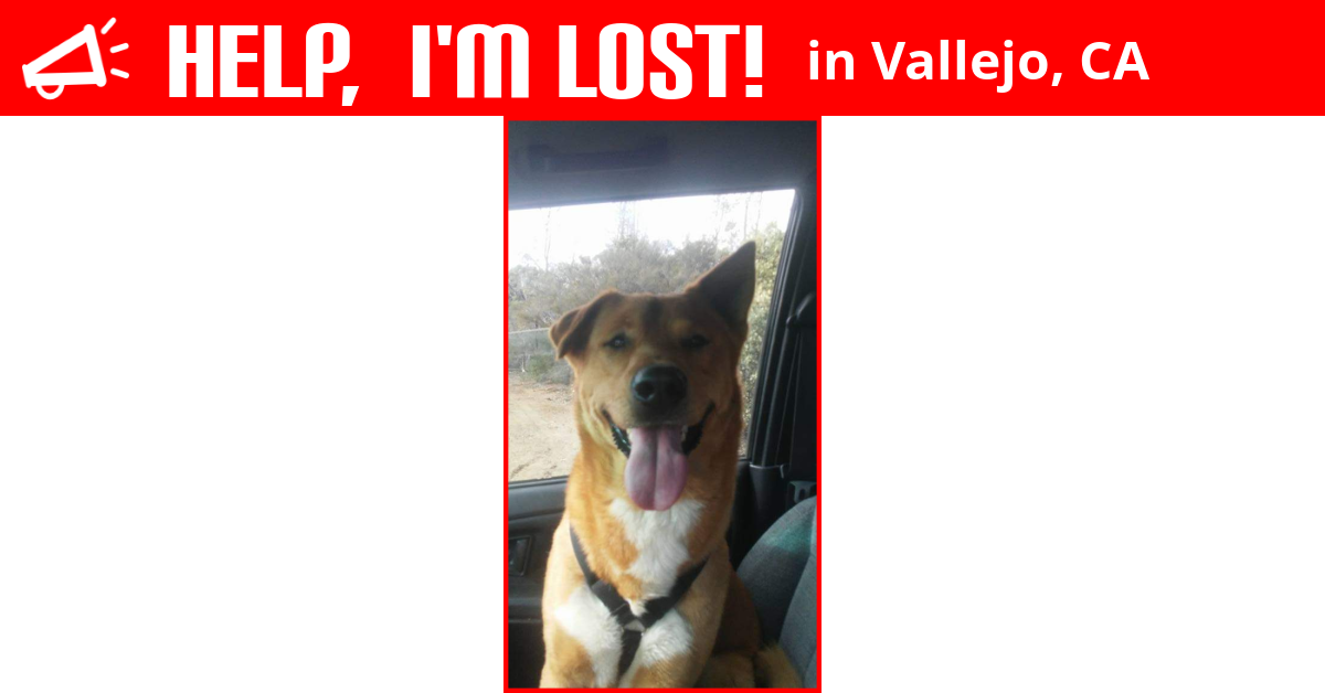 Lost Dog (Vallejo, California) Samurai