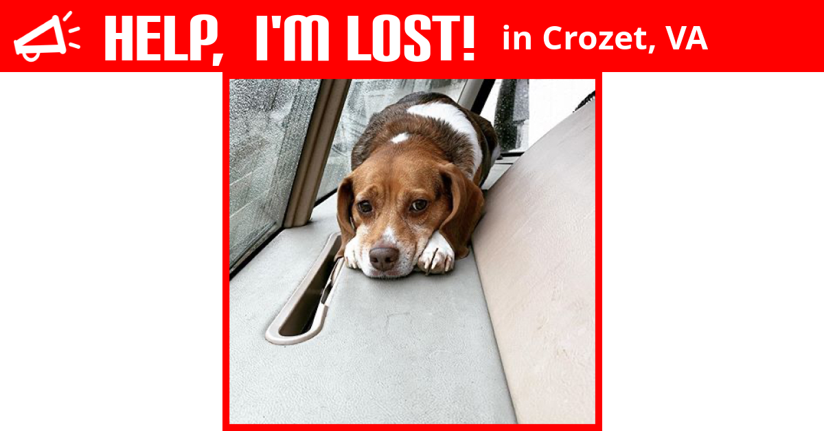 Lost Dog (Crozet, Virginia) Lenny