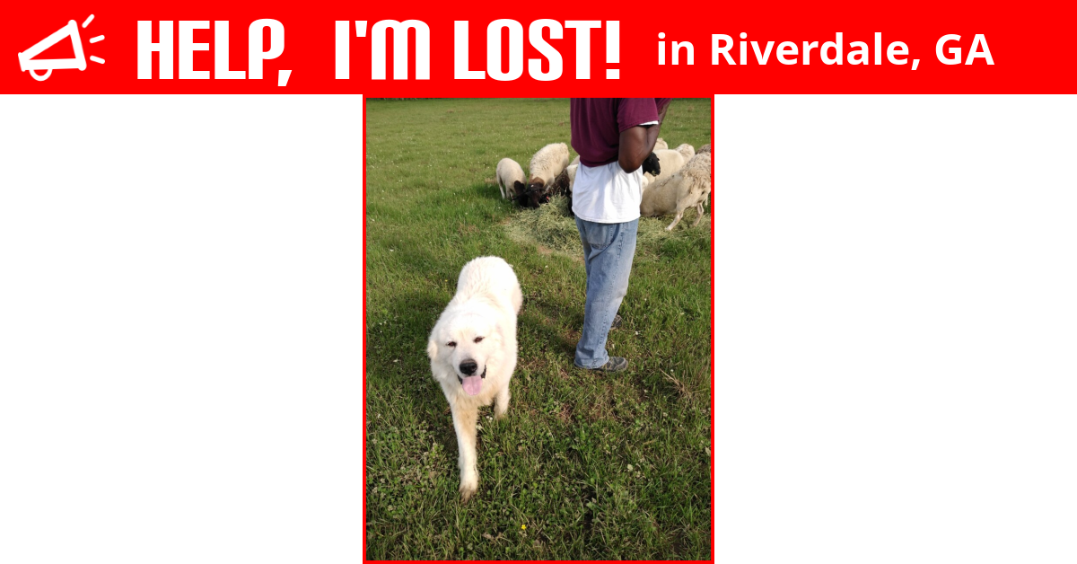 Lost Dog (Riverdale, Miles