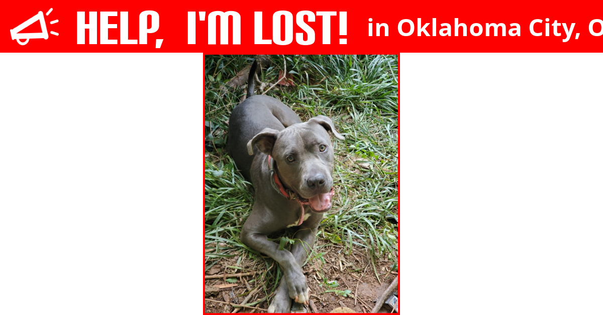 Lost Dog (Oklahoma City, Oklahoma) Bane