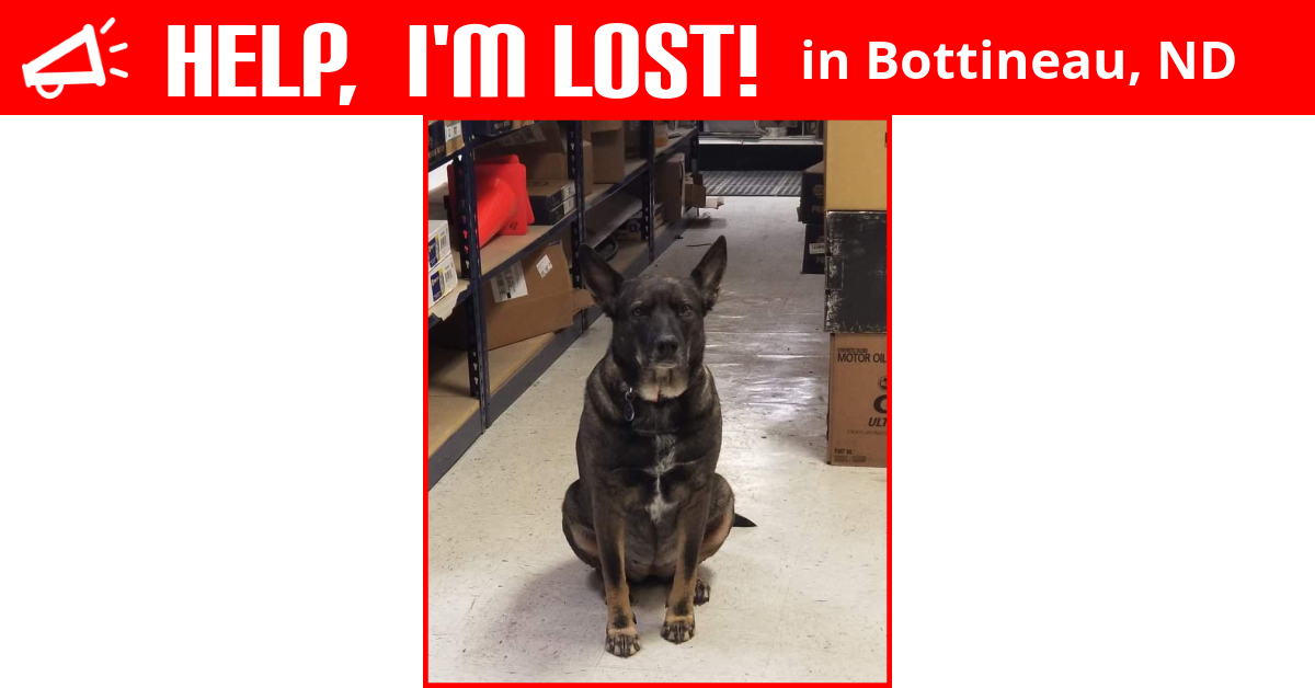 Lost Dog (Bottineau, North Dakota) Roxy