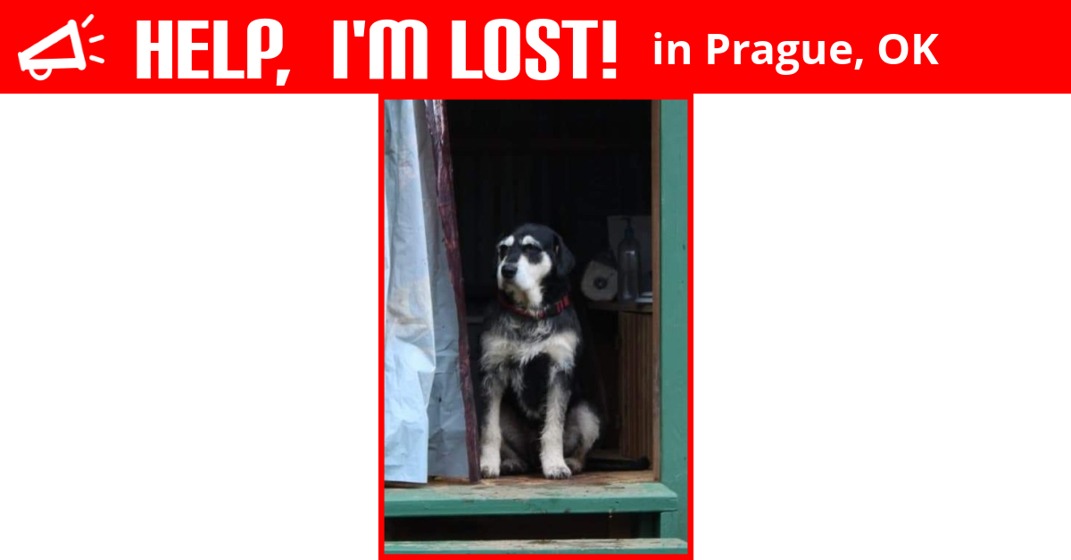 Lost Dog (Prague, Oklahoma) Buzz
