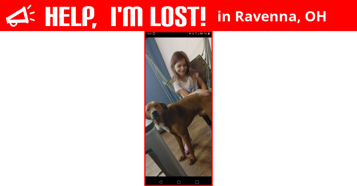 Lost Dog (Ravenna, Ohio) Grizzly