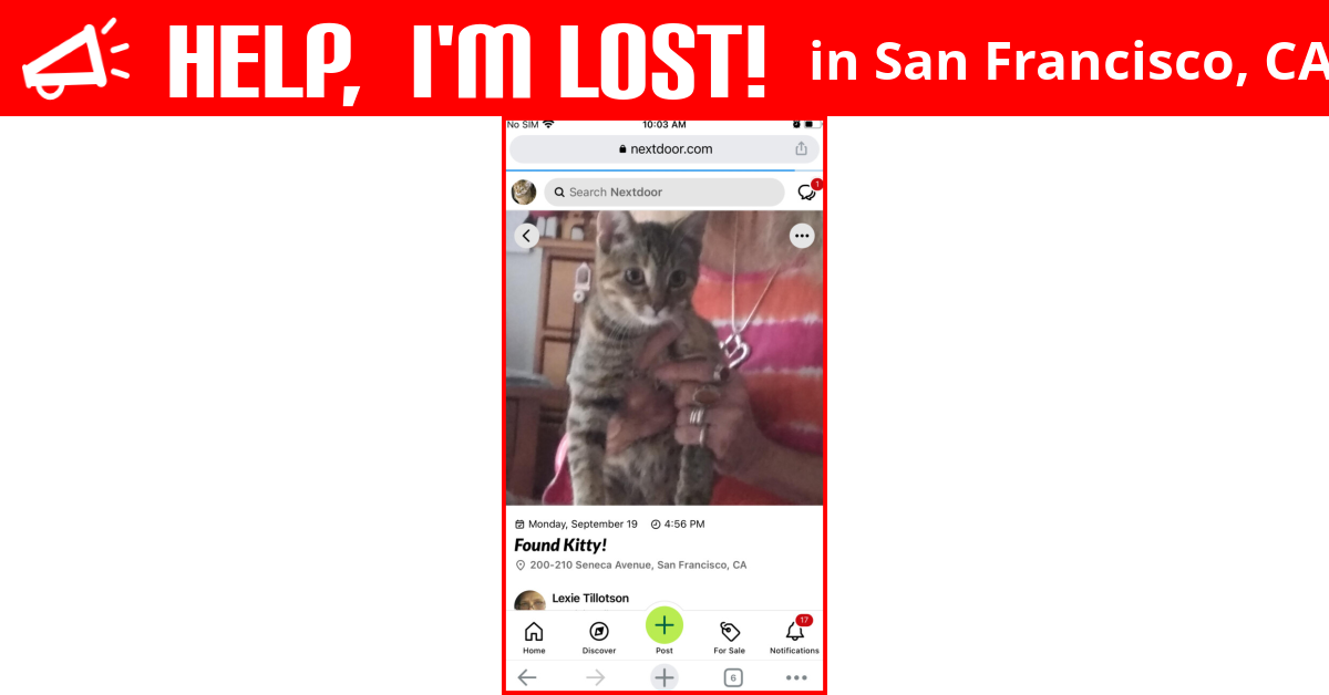 Lost Cat (San Francisco, California) Maxie Shakura
