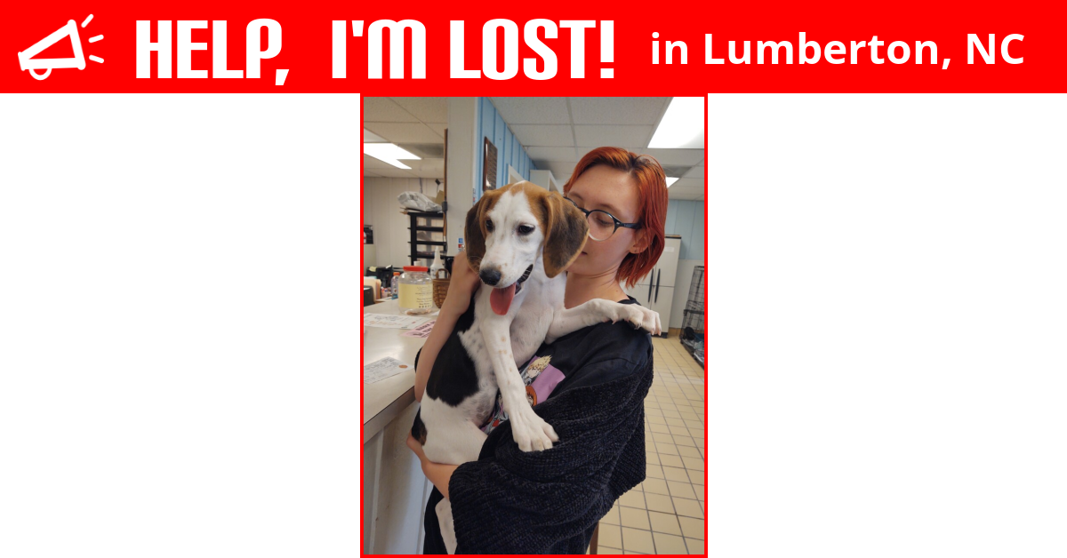 Lost Dog (Lumberton, North Carolina) Lucy Bell