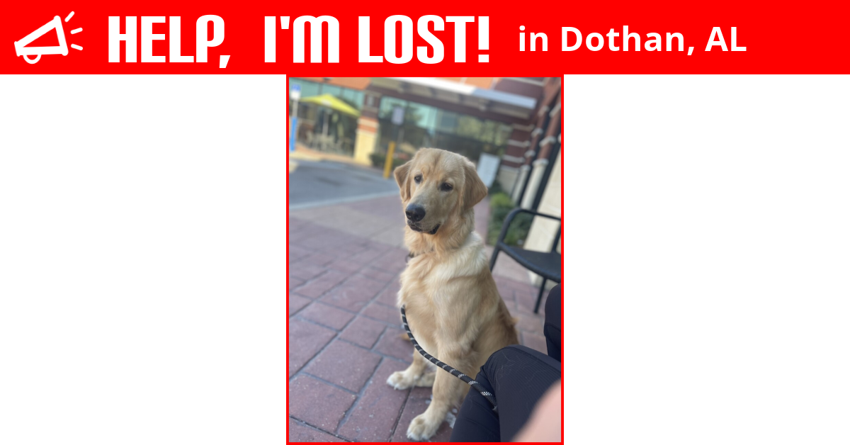 Lost Dog (Dothan, Alabama) Kody