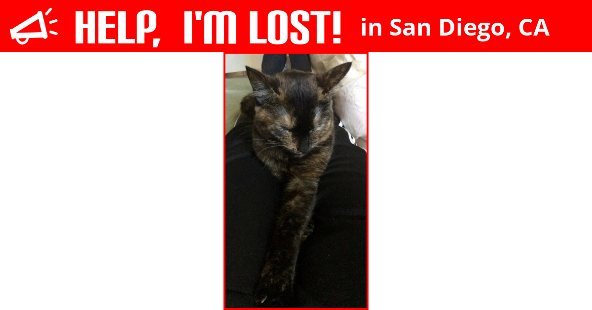 Lost Cat (San Diego, California) Mitten