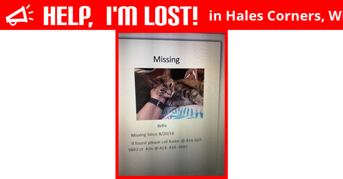 Lost Cat (Hales Corners, Wisconsin) Bella
