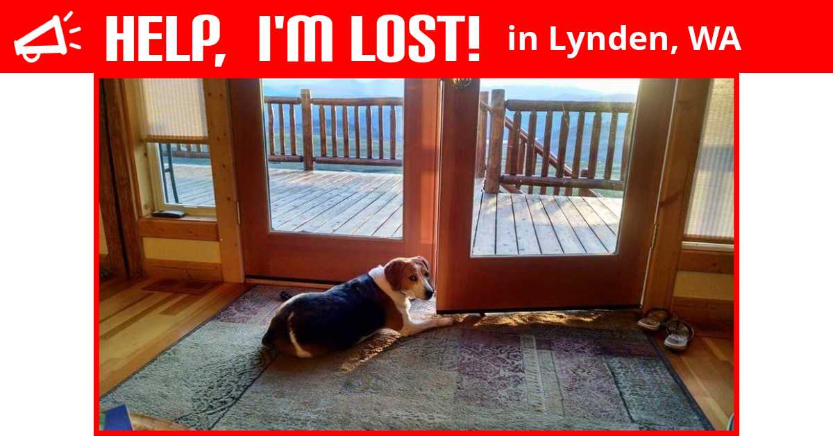 Lost Dog (Lynden, Washington) Kharma