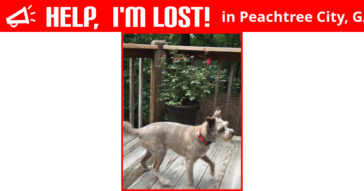 Lost Dog (Peachtree City, Norton