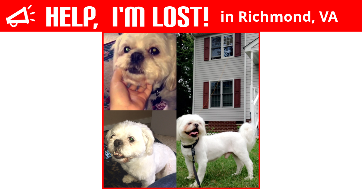 Lost Dog (Richmond, Virginia) Geovanni