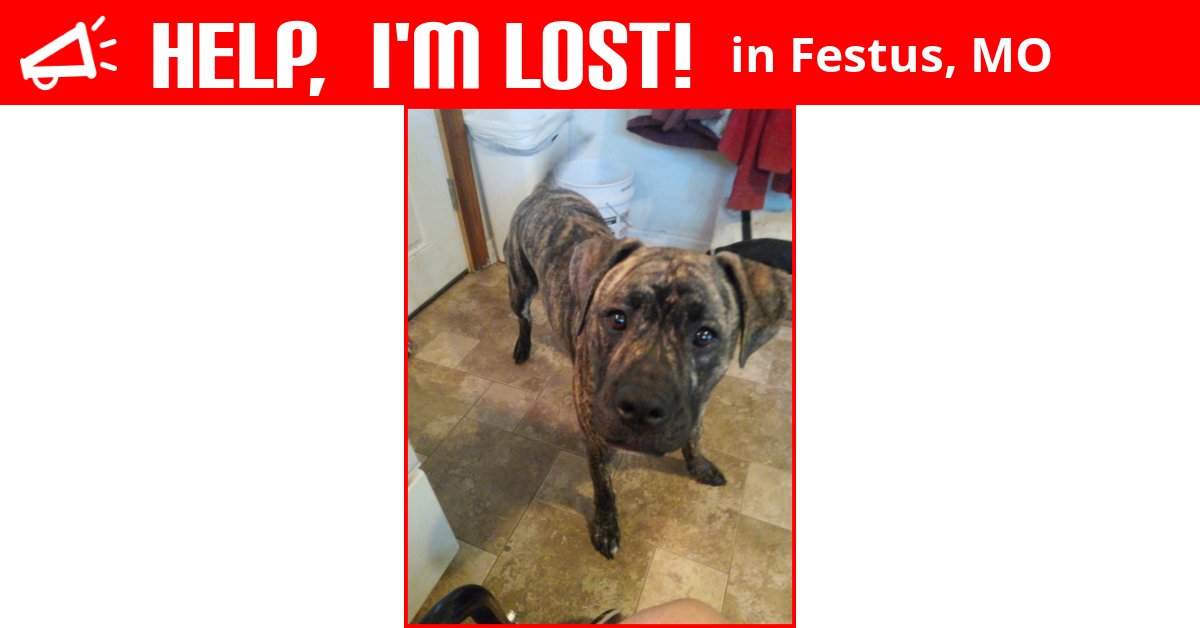 Lost Dog (Festus, Missouri) Ranger