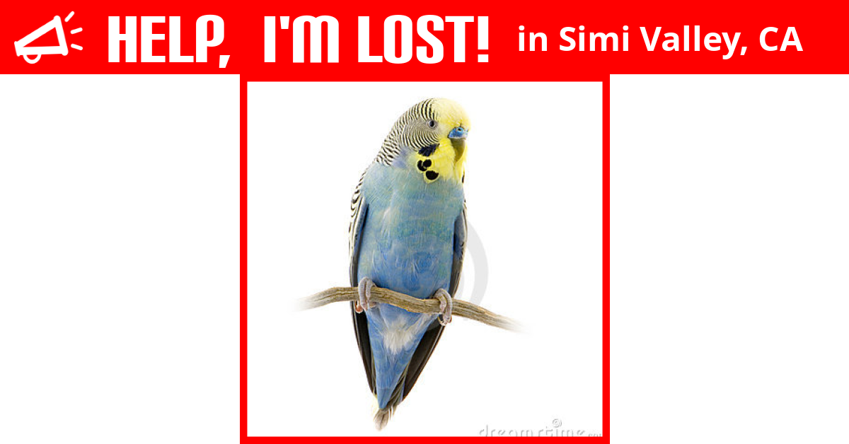 Lost Bird (Simi Valley, California) Maui