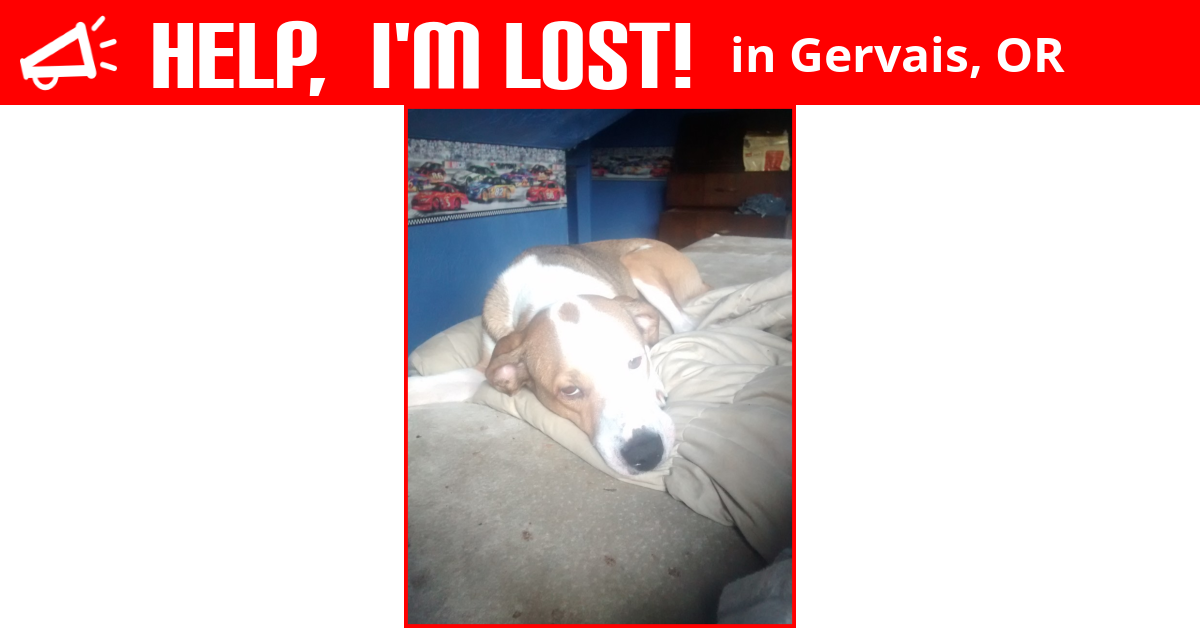 Lost Dog (Gervais, Oregon) Sweet Spot
