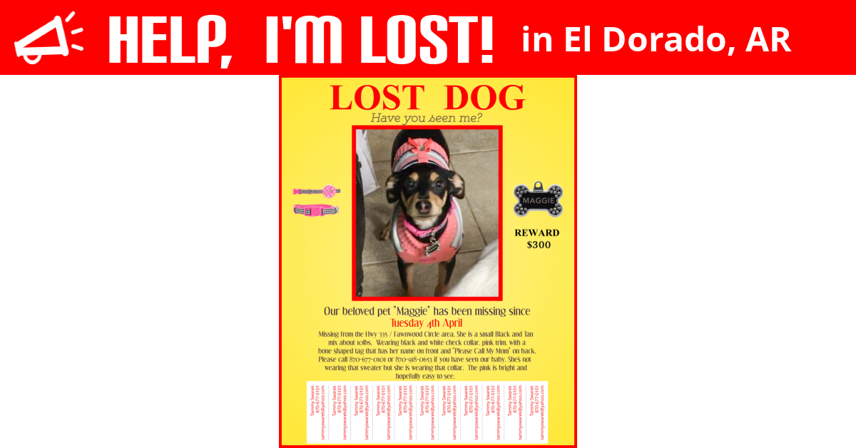 Lost Dog (El Dorado, Arkansas) Maggie
