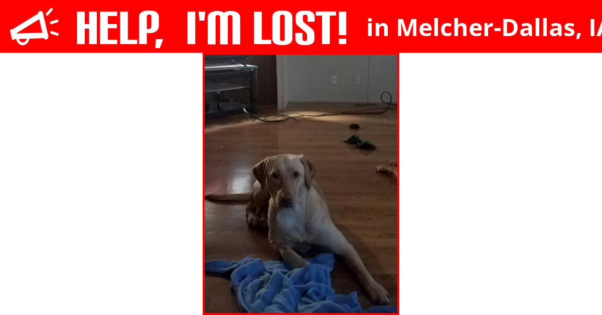 Lost Dog (MelcherDallas, Iowa) Missy