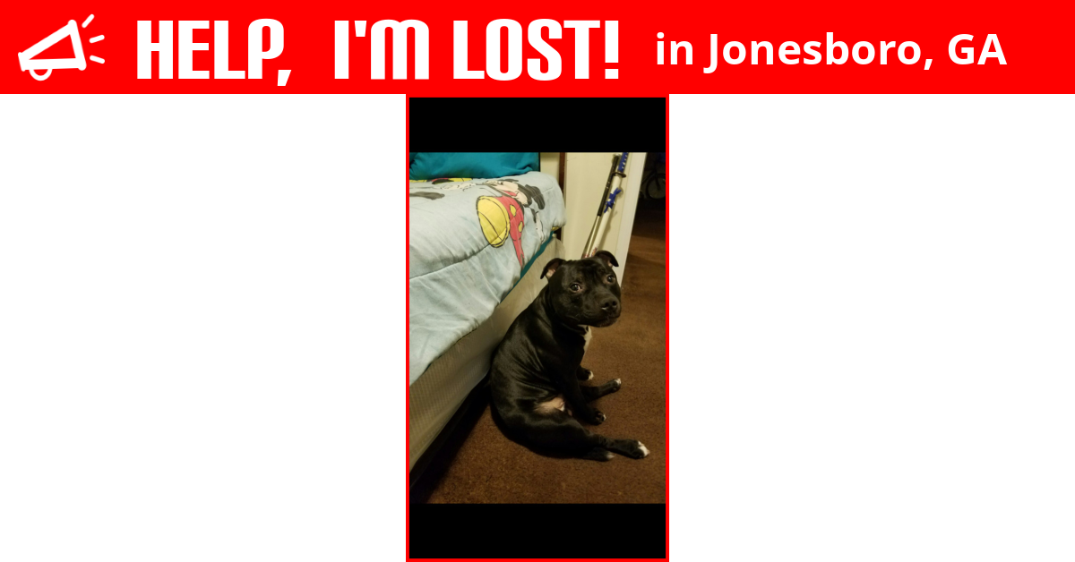 Lost Dog (Jonesboro, Koby