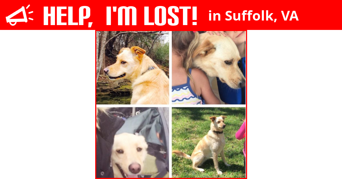 Lost Dog (Suffolk, Virginia) Celia