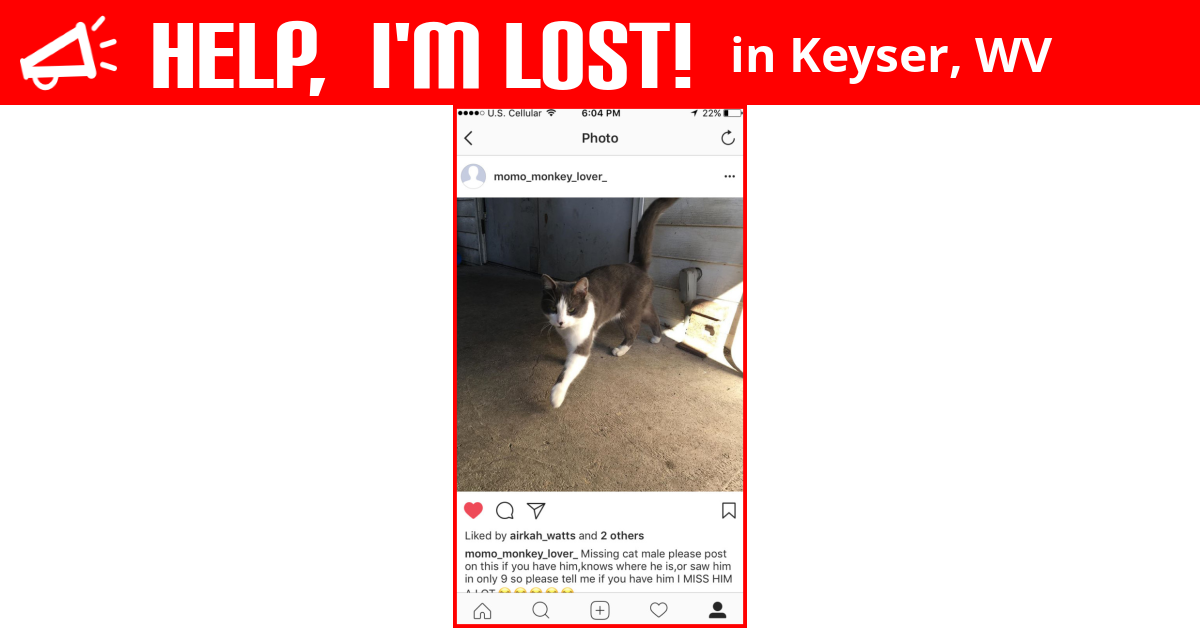 Lost Cat (Keyser, West Virginia) Target
