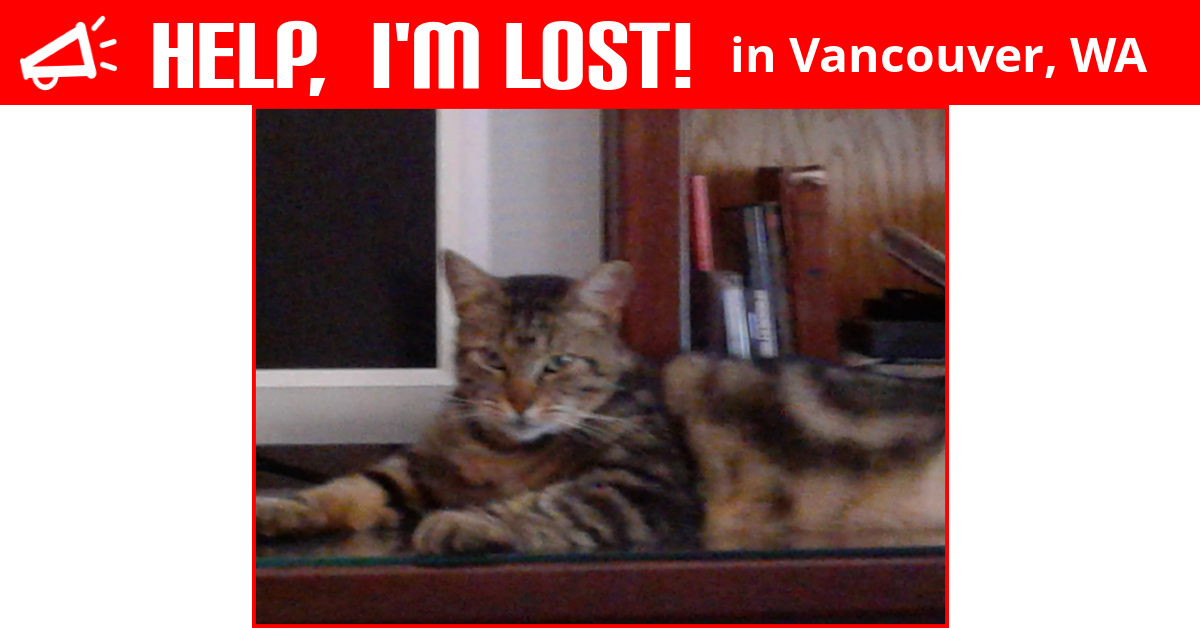 Lost Cat (Vancouver, Washington) Rampage