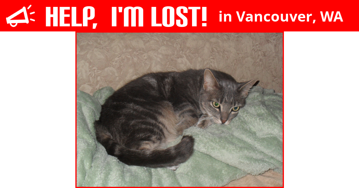 Lost Cat (Vancouver, Washington) Tweak