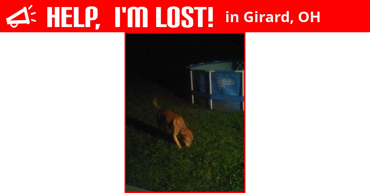 Lost Dog (Girard, Ohio) Copper