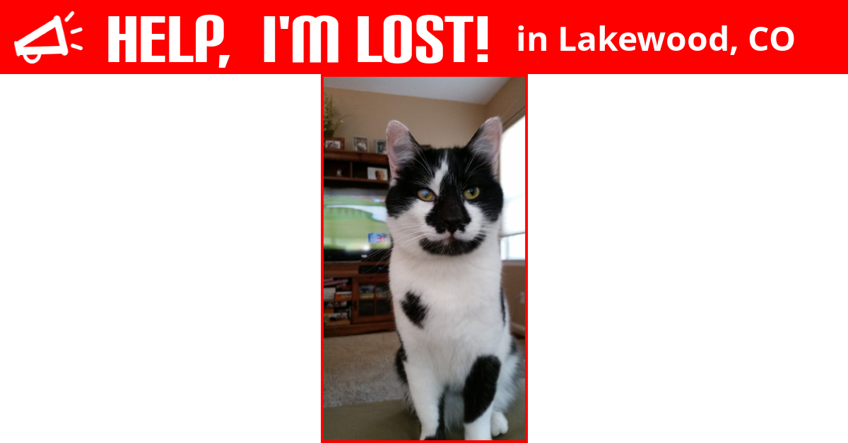 Lost Cat (Lakewood, Colorado) Peppers
