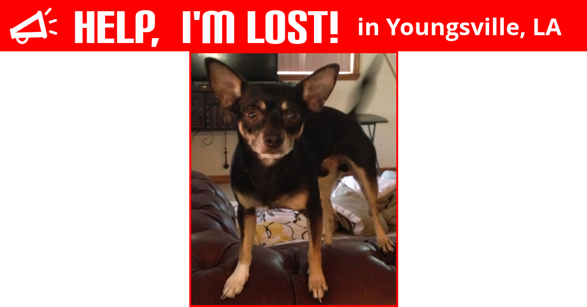 Lost Dog (Youngsville, Louisiana) Nitro