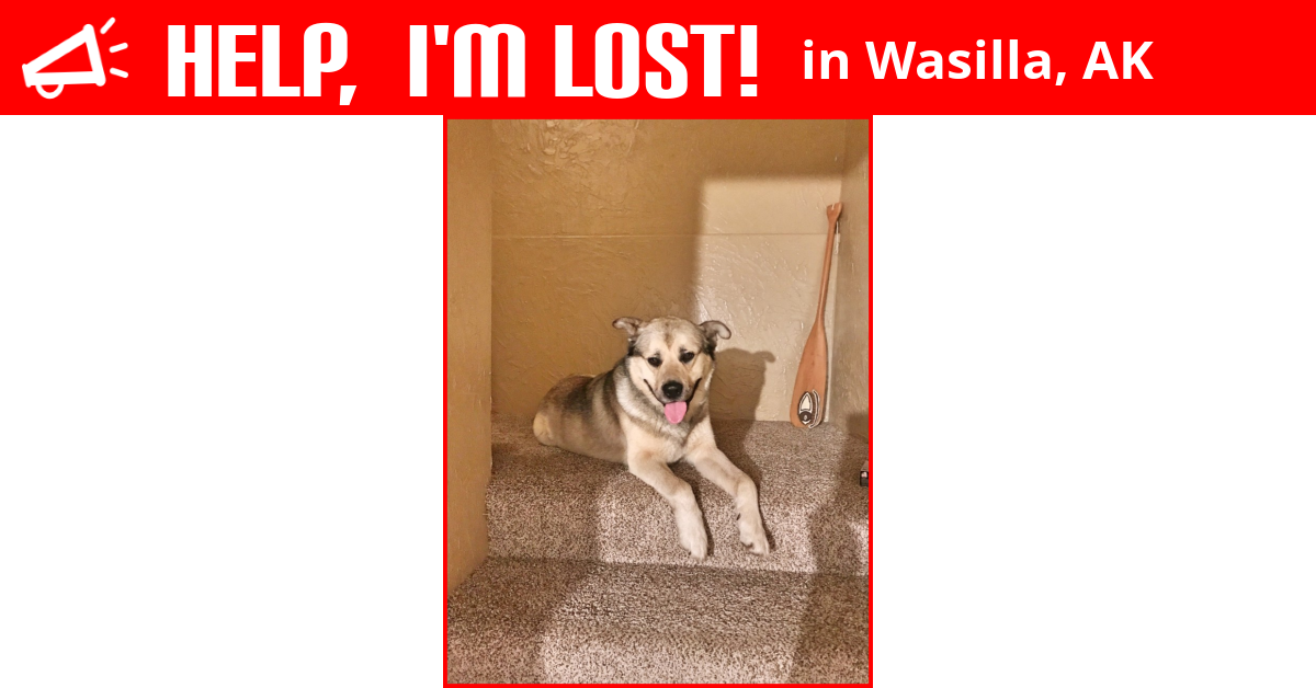 Lost Dog (Wasilla, Alaska) Master