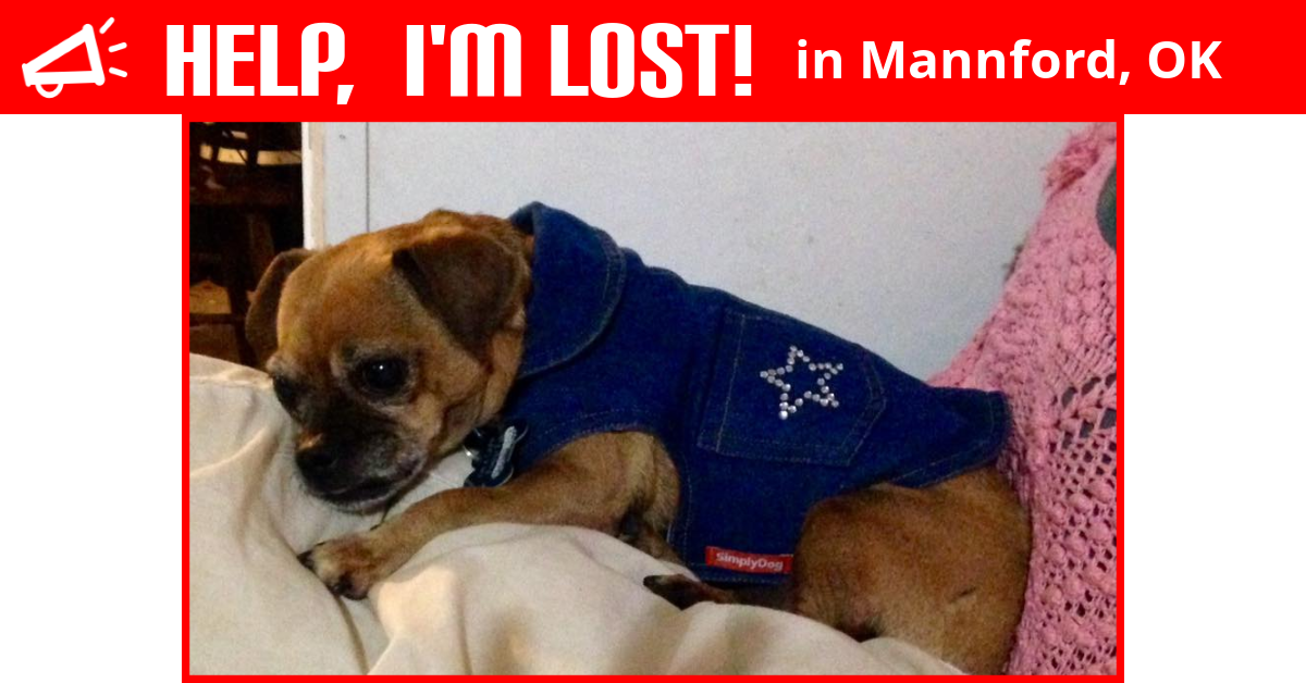 Lost Dog (Mannford, Oklahoma) Peggy Sue