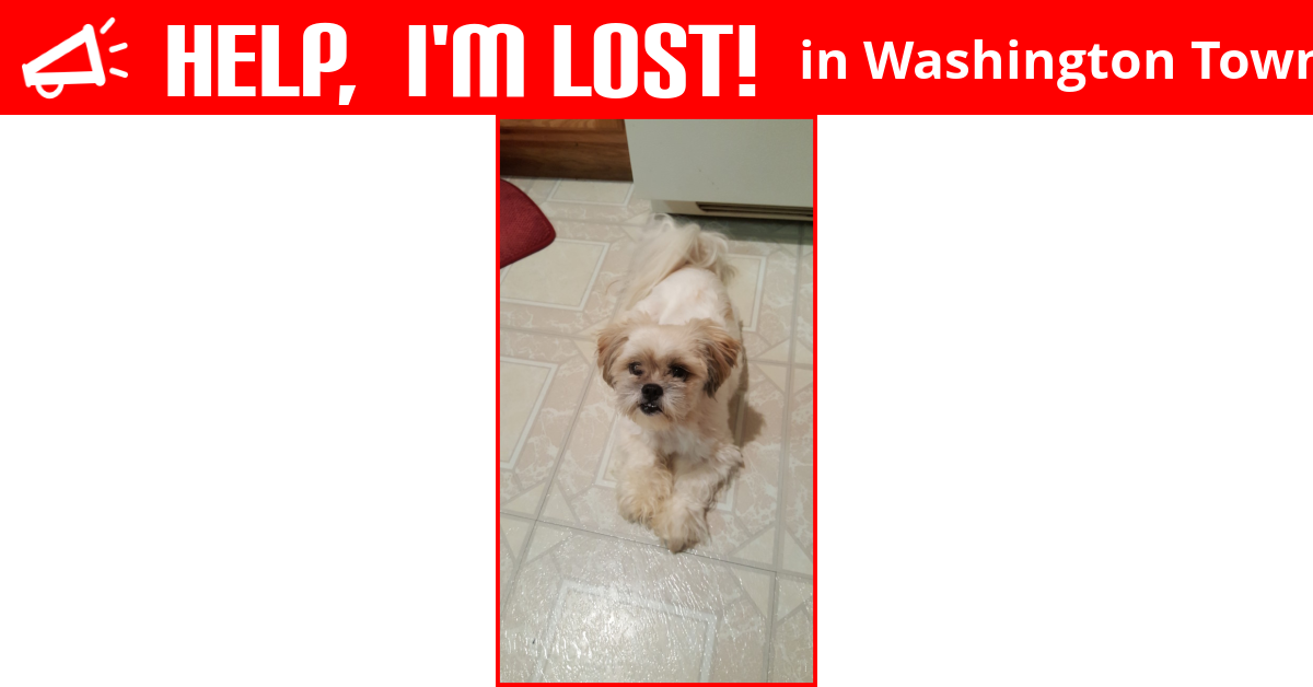 new homes washington township