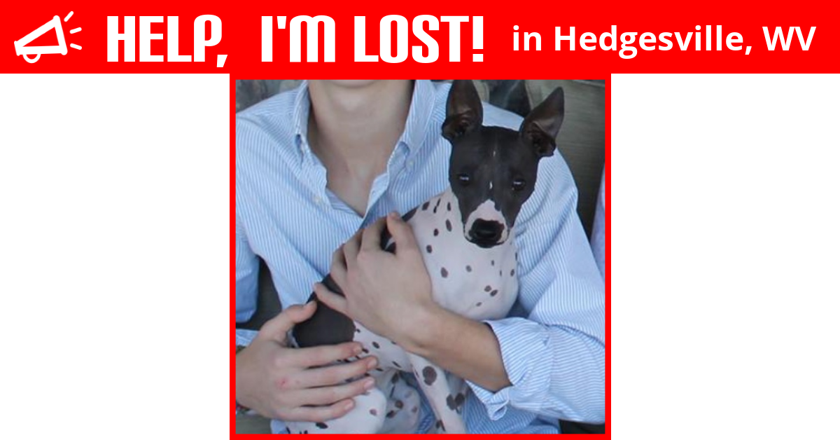 Lost Dog (Hedgesville, West Virginia) Max Hurst
