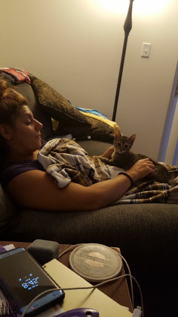 Lost Cat (Lancaster, Pennsylvania) Lizzy