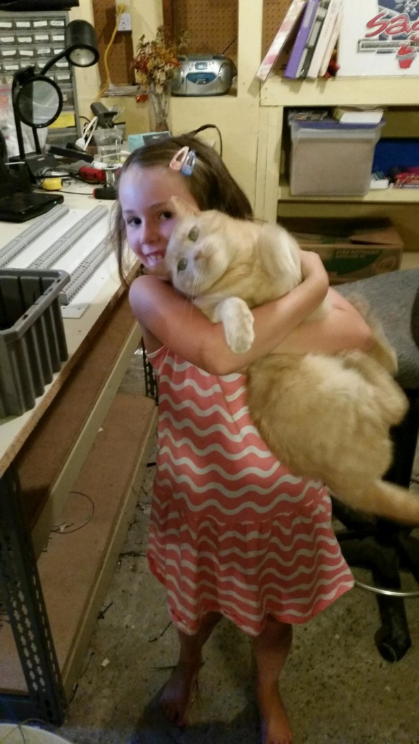 Lost Cat (Spokane, Washington) Max