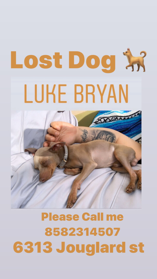 Lost Dog (San Diego, California) Luke Bryan