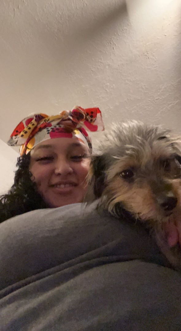 Lost Dog (El Paso, Texas) Precious